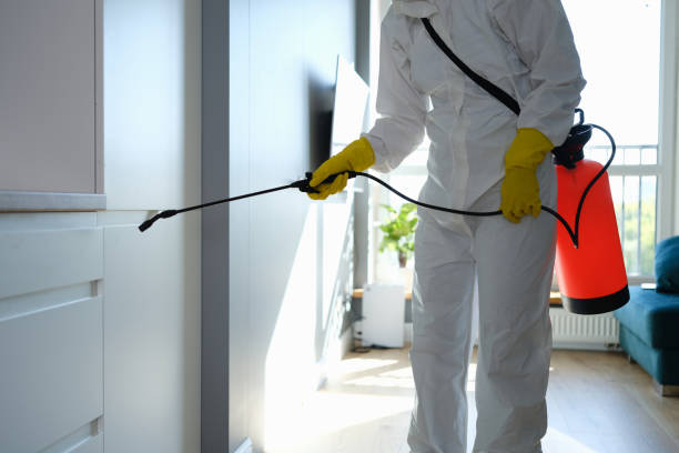 Best Commercial Mold Inspection  in Punta Rassa, FL